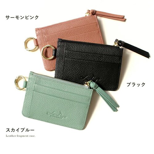 LIZDAYS �p�X�P�[�X �R�C���P�[�X �ʔ� ������� ���f�B�[�X �t���O�����g�P�[�X �{�v ���K���� �J�[�h�z���_�[ �J�[�h���� �J�[�h�P�[�X �~�j���z �~�j�|�[�` �J���r�i ���Y�f�C�Y lz-6_10