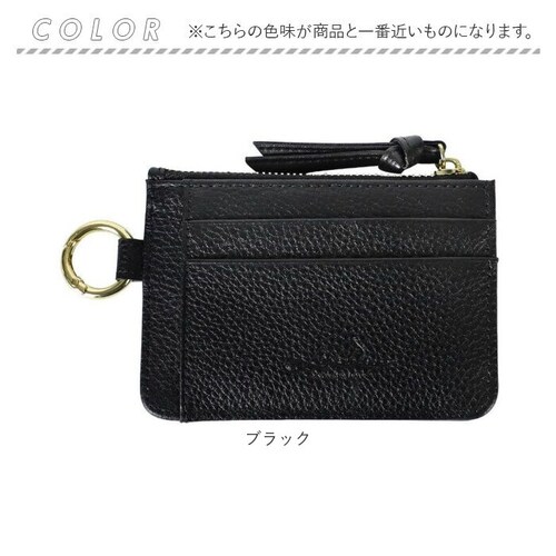 LIZDAYS �p�X�P�[�X �R�C���P�[�X �ʔ� ������� ���f�B�[�X �t���O�����g�P�[�X �{�v ���K���� �J�[�h�z���_�[ �J�[�h���� �J�[�h�P�[�X �~�j���z �~�j�|�[�` �J���r�i ���Y�f�C�Y lz-6_13