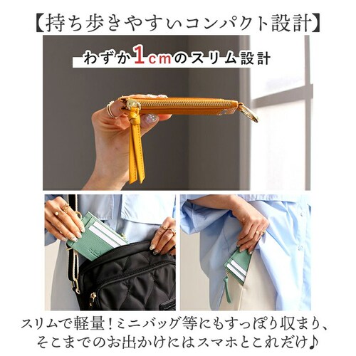 LIZDAYS �p�X�P�[�X �R�C���P�[�X �ʔ� ������� ���f�B�[�X �t���O�����g�P�[�X �{�v ���K���� �J�[�h�z���_�[ �J�[�h���� �J�[�h�P�[�X �~�j���z �~�j�|�[�` �J���r�i ���Y�f�C�Y lz-6_18