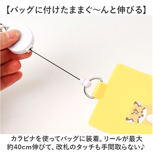 �p�X�P�[�X ���[���t�� �ʔ� �J�[�h�P�[�X ������� IC�J�[�h�P�[�X ����P�[�X �J���r�i�t�� �V���R���p�X�P�[�X ���[���R�[�h�t�� ���􂢉� ���킢�� ������� �ʋ� �ʊw ���f�B�[�X ��l ��_2