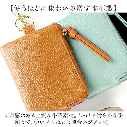 LIZDAYS �p�X�P�[�X �R�C���P�[�X �ʔ� ���[���t�� �����Ȃ� ������� ���f�B�[�X �L�[�P�[�X ���K���� �{�v �J�[�h���� �J�[�h�P�[�X �L�[�����O �~�j�|�[�` �J���r�i ���Y�f�C�Y lz-6_2