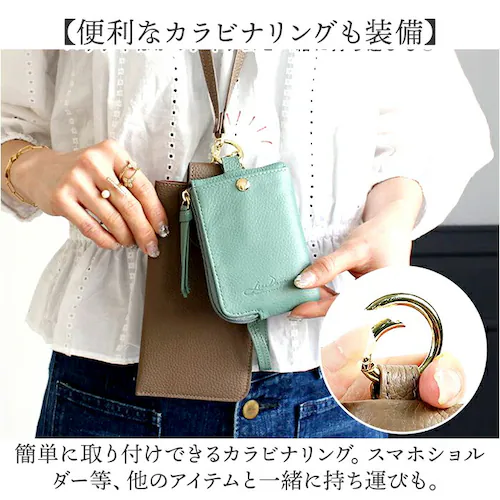 LIZDAYS �p�X�P�[�X �R�C���P�[�X �ʔ� ���[���t�� �����Ȃ� ������� ���f�B�[�X �L�[�P�[�X ���K���� �{�v �J�[�h���� �J�[�h�P�[�X �L�[�����O �~�j�|�[�` �J���r�i ���Y�f�C�Y lz-6_11