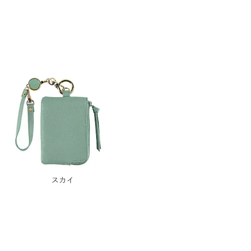 LIZDAYS �p�X�P�[�X �R�C���P�[�X �ʔ� ���[���t�� �����Ȃ� ������� ���f�B�[�X �L�[�P�[�X ���K���� �{�v �J�[�h���� �J�[�h�P�[�X �L�[�����O �~�j�|�[�` �J���r�i ���Y�f�C�Y lz-6_18