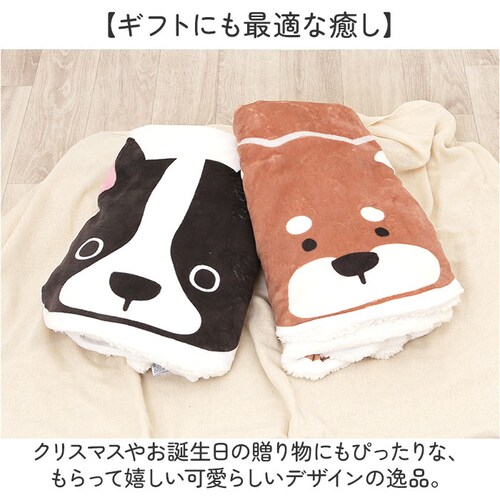 �u�����P�b�g �Ђ��|�� ���킢�� �ʔ� ���̂������u�����P�b�g �G�|�� �~�j �ѕz �� ���� �O�b�Y ���� �G�| �` �^ �Ђ����� ���� �L�b�Y ������� ���D�� �q�ǂ� �����Q ���{�A �g���� ��_5