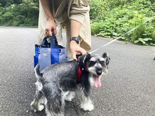 ���[�g�[�g �V�����_�[�o�b�O �ʔ� ROOTOTE 1128 �� ���U���o�b�O �V�����_�[ �g�[�g�o�b�O �~�j�g�[�g �T�u�o�b�O ���f�B�[�X �����Y �~�j�o�b�O ������� SN.�X�N�G�A.DOG.BU_6