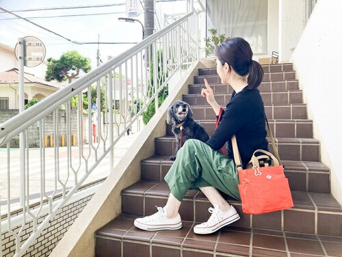 ���[�g�[�g �V�����_�[�o�b�O �ʔ� ROOTOTE 1128 �� ���U���o�b�O �V�����_�[ �g�[�g�o�b�O �~�j�g�[�g �T�u�o�b�O ���f�B�[�X �����Y �~�j�o�b�O ������� SN.�X�N�G�A.DOG.BU_7