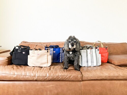 ���[�g�[�g �V�����_�[�o�b�O �ʔ� ROOTOTE 1129 �� ���U���o�b�O �V�����_�[ �g�[�g�o�b�O �~�j�g�[�g �T�u�o�b�O ���f�B�[�X �����Y �~�j�o�b�O ������� SN.�X�N�G�A.DOG.BU_1