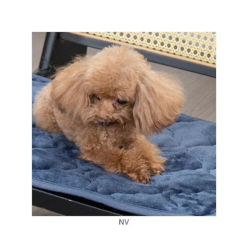 �y�b�g�p �p�b�h LL �ʔ� ���p�}�b�g �y�b�g�p�}�b�g �y�b�g�}�b�g �y�b�g�p�b�h �y�b�g�p�p�b�h �~���p�b�h �}�b�g �t�����l�� �����΍� �h���΍� �y�b�g �� ���� ����~�� ���ׂ�~�� �􂦂�_10