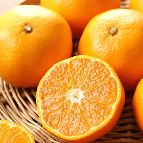 �y�o�ג��z���Q���Y �݂��� �ɗ\�� 3kg (�G�i/8�`22��/�퉷��) ���k ���悩�� �M�t�g ���蕨 ������_4