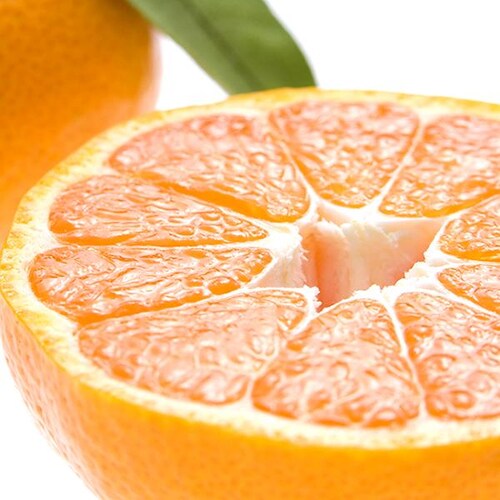 �y�o�׊ԋ߁z�Y�n���I ���Y �݂��� �É� 3kg (�G�i/L-2L/�퉷��) ���k �M�t�g ���蕨 ������p ������_3