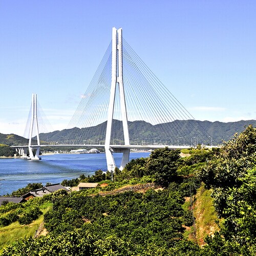 �y�o�׊ԋ߁z�Y�n���I ���Y �݂��� �É� 3kg (�G�i/L-2L/�퉷��) ���k �M�t�g ���蕨 ������p ������_5