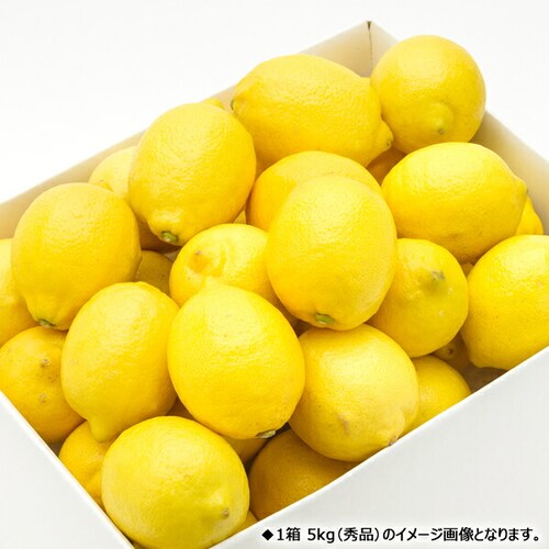 �y�o�ג��z���Q���Y ���k ������ 3kg (�G�i/13�ʁ`26��/�퉷) �E�G �M�t�g ���蕨 ���ƒ�p ������_1