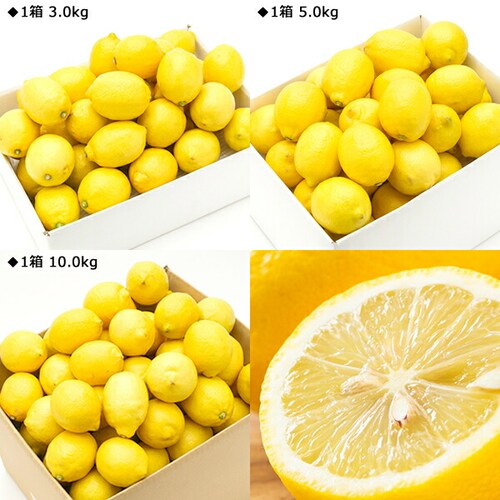 �y�o�ג��z���Q���Y ���k ������ 3kg (�G�i/13�ʁ`26��/�퉷) �E�G �M�t�g ���蕨 ���ƒ�p ������_2