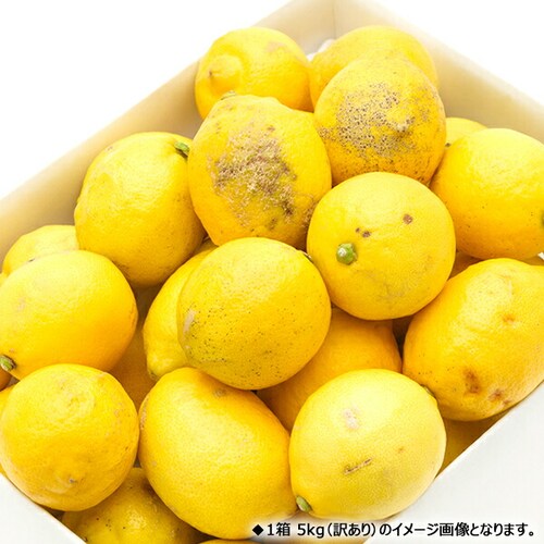 �y�o�ג��z���Q���Y ���k ������ 3kg (�G�i/13�ʁ`26��/�퉷) �E�G �M�t�g ���蕨 ���ƒ�p ������_10