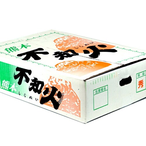 �y�o�ג��z�Y�n���I ���Y �݂��� �s�m�� 5kg (�G�i/16�`24��/�퉷��) �M�t�g ���蕨 ������p ������_3