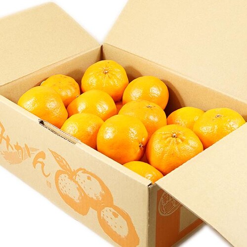 �y�o�ג��z�Y�n���I ���Y �݂��� �ۂ񂩂� 3kg (�G�i/S-2L/�퉷��) ���k �݂��� �M�t�g ���蕨 ������_2