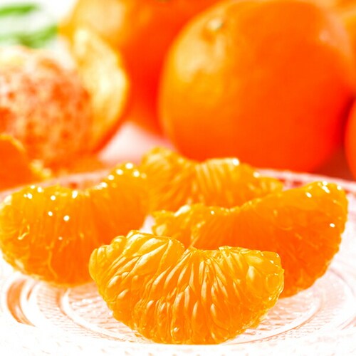 �y�o�ג��z�Y�n���I ���Y �݂��� �ۂ񂩂� 3kg (�G�i/S-2L/�퉷��) ���k �݂��� �M�t�g ���蕨 ������_4