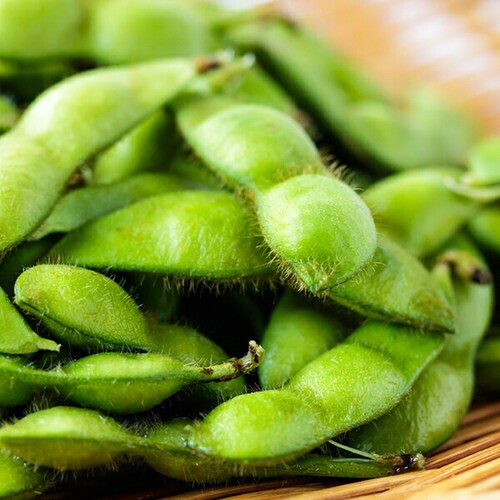 【出荷中】山形県産 枝豆 だだちゃ豆 1kg (秀品/500gx2袋) えだまめ ギフト 贈り物 残暑見舞い ご家庭用 山形 野菜 グルメ お取り寄せ_16