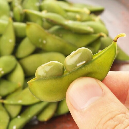 【出荷中】山形県産 ご家庭用 枝豆 だだちゃ豆 1kg (500gx2袋) 訳あり わけあり えだまめ 自宅用 ご家庭用 山形 野菜 グルメ お取り寄せ_2
