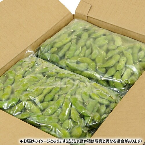 【出荷中】山形県産 ご家庭用 枝豆 だだちゃ豆 1kg (500gx2袋) 訳あり わけあり えだまめ 自宅用 ご家庭用 山形 野菜 グルメ お取り寄せ_4