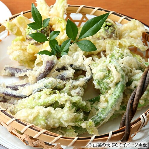 �y�\��z�R�`���Y �R�� �^���̉� 500g���� �M�t�g ���蕨  ������p �ƒ�p �����񂹁y������s�z_12