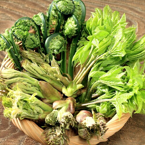 �y�\��z���I ���k�Y �R�؃Z�b�g A 500g (�R��4��ވȏ�ۏ�) �M�t�g ���蕨  ������p �ƒ�p �����񂹁y������s�z_1