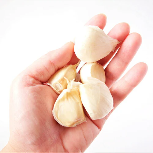 【出荷中】青森県産 にんにく Lサイズ 500g 自宅用 生にんにく 乾燥にんにく 大蒜 訳あり お取り寄せ【代引き不可】_1