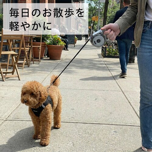 ���p �L�k���[�h �R���p�N�g 3m �X�g���b�v�t�� �O���[�y������s�z_4