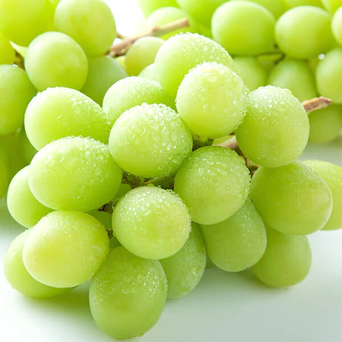 �Ⓚ�t���[�c �R�`���Y �V���C���}�X�J�b�g 6�ܓ��� (�Ԃǂ�/1�� 100g/�Ⓚ�i) �M�t�g ���蕨 �����񂹁y������s�z_6