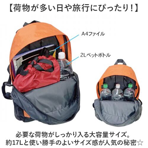 CLIMBING クライミング デイパック 8287 通販 リュックサック リュック 防災リュック 普段使い ポケット メッシュポケット ベルト付き カジュアル レジャー 防災 使いやすい メンズ レ_2