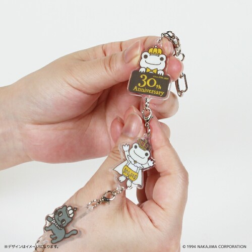 ������̃s�N���X �O�b�Y �ʔ� pickles the frog �L�[�z���_�[ �A�N�����L�[�z���_�[ �L�[�`���[�� �L�[�����O �A�N�L�[ �L�����N�^�[ ���� ���킢�� ������� �s�N���X�U�t���b�O _2