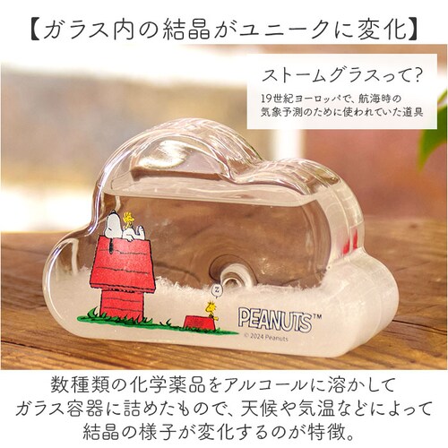 ���J�Y�� �X�g�[���O���X �L�����N�^�[ �ʔ� �T�C�G���X�I�u�W�F �T�C�G���X�G�� �u�� �u���� �Ȋw �T�C�G���X �N���E�hSS PEANUTS �s�[�i�b�c �X�k�[�s�[ Snoopy �L���� ���킢�� _2