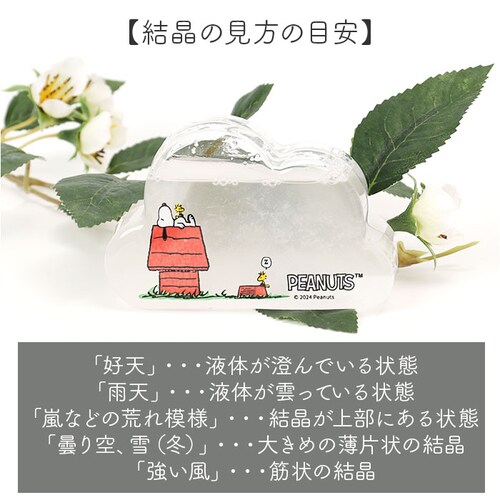 ���J�Y�� �X�g�[���O���X �L�����N�^�[ �ʔ� �T�C�G���X�I�u�W�F �T�C�G���X�G�� �u�� �u���� �Ȋw �T�C�G���X �N���E�hSS PEANUTS �s�[�i�b�c �X�k�[�s�[ Snoopy �L���� ���킢�� _3