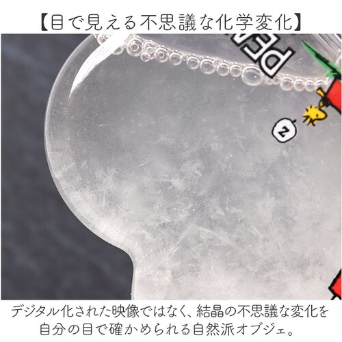 ���J�Y�� �X�g�[���O���X �L�����N�^�[ �ʔ� �T�C�G���X�I�u�W�F �T�C�G���X�G�� �u�� �u���� �Ȋw �T�C�G���X �N���E�hSS PEANUTS �s�[�i�b�c �X�k�[�s�[ Snoopy �L���� ���킢�� _4