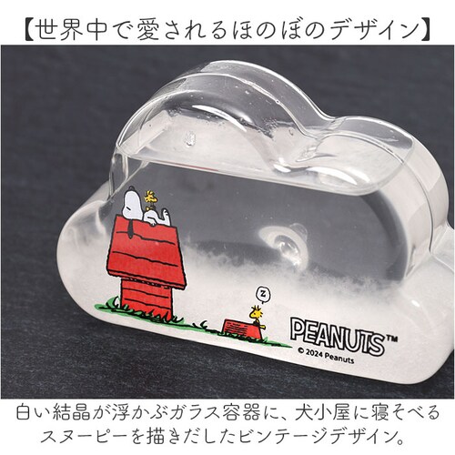���J�Y�� �X�g�[���O���X �L�����N�^�[ �ʔ� �T�C�G���X�I�u�W�F �T�C�G���X�G�� �u�� �u���� �Ȋw �T�C�G���X �N���E�hSS PEANUTS �s�[�i�b�c �X�k�[�s�[ Snoopy �L���� ���킢�� _6