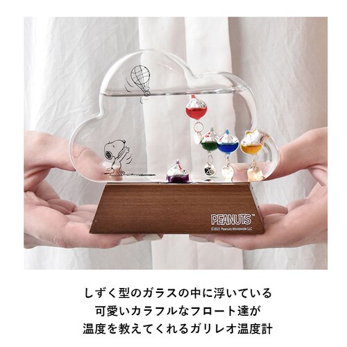 �X�k�[�s�[ ���x�v ������� �ʔ� �L�����N�^�[ �X�k�[�s�[ �O�b�Y ��l ���� �K���X�t���[�g���x�v �K�����I���x�v �_ �u���� �u�� ������� �ؐ� �Ȋw �T�C�G���X �V�z�j�� �M�t�g �v���[���g_1