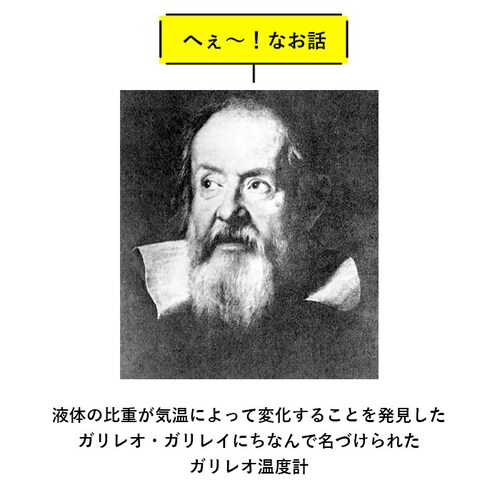 �X�k�[�s�[ ���x�v ������� �ʔ� �L�����N�^�[ �X�k�[�s�[ �O�b�Y ��l ���� �K���X�t���[�g���x�v �K�����I���x�v �_ �u���� �u�� ������� �ؐ� �Ȋw �T�C�G���X �V�z�j�� �M�t�g �v���[���g_2