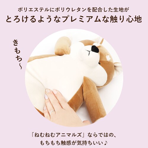 �L�����N�^�[ �w�� �c�{���� �N�b�V���� �ʔ� �C�X�Ɉ����|���� �ʂ������ �ӂ�ӂ� �t���t�� �˂ނ˂� �l���l�� ���� ���킢�� �A�j�}�� nemunemu ����_4