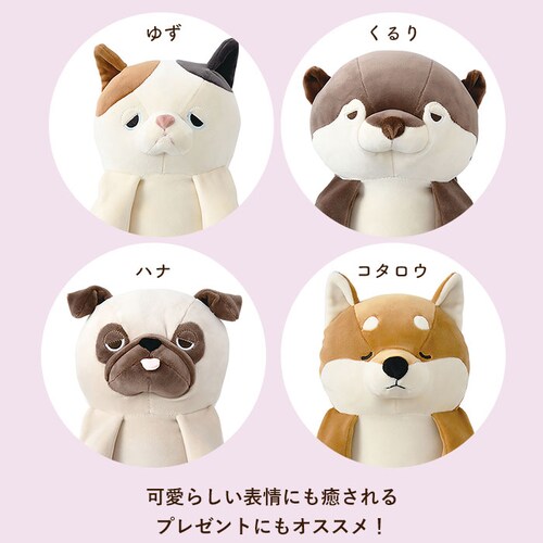 �L�����N�^�[ �w�� �c�{���� �N�b�V���� �ʔ� �C�X�Ɉ����|���� �ʂ������ �ӂ�ӂ� �t���t�� �˂ނ˂� �l���l�� ���� ���킢�� �A�j�}�� nemunemu ����_6