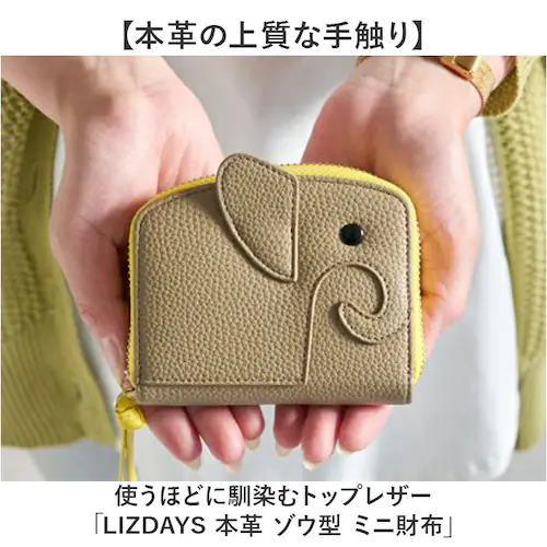 �u���b�N/�O���[�x�[�W�� lizdays ���Y�f�C�Y �]�E �~�j���z lz-66117 �ʔ� �{�v���z ���v���z ���z �R�C���P�[�X ���K���� �J�[�h�P�[�X ��܂���z ����΂���z �R���p�N�g �y_1