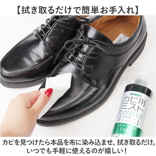 �h�J�r �X�v���[ �v�p �ʔ� �R�����u�X ���U�[�L���A �J�r�p�~�X�g ���U�[�P�A �V���[�P�A �N���[�i�[ 300ml ��e�� ��v���i ������� �J�r���� �� �@���Ƃ� �ۊ� �c���v �X�G�[�h �C �J_3