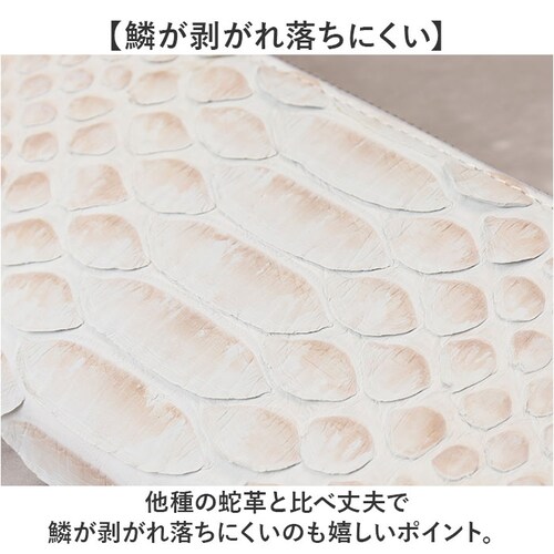 zoo �v ���z ZLW-156 �ʔ� ���{�� �����z �����Y ���E���h�t�@�X�i�[ ���U�[ �E�H���b�g �����z �D���� �Ȃ������� �Ȃ������� ���T�C�t �Ȃ����z �w�r�v �p�C�\���v �֊v ���� �Y�[_3