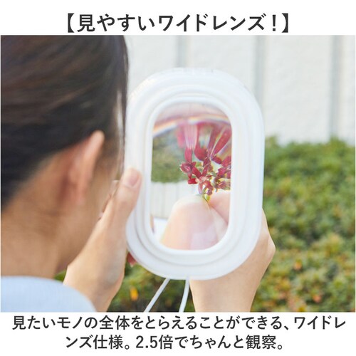 ���C���C���� �g�勾 ���[�y �ʔ� �X�R�[�v �������p�g�勾 �������p���[�y ���[�y�X�R�[�v �������p �������X�R�[�v �A�N�A�X�R�[�v �ώ@ 25�{ ���� �ォ�炩�Ԃ��� �g�� �܂肽���� �܂��� _4