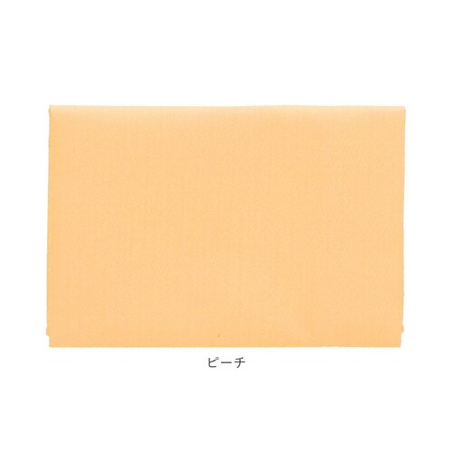 �N���[�j���O�N���X�@ �ʔ� ���K�l�@���N���X �ዾ�@�� �N���X �ዾ�p�i 19cm �~ 19cm 19 �~ 19 ���n �V���v�� �P�[�^�C�N���[�i�[ �g�уN���[�i�[ ���v ������� �������� �X�}�z _16