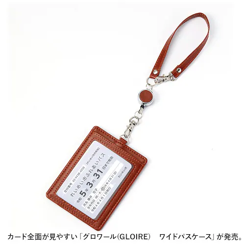 �p�X�P�[�X ������� �ʔ� �O�����[�� ���C���C���� GLP1165 �������p�X�P�[�X IC�J�[�h�P�[�X ���ʃp�X�P�[�X �Ƌ��� �P�[�X ������� ���� ������v �t�F�C�N���U�[ �����Y ���f�B�[�X_1