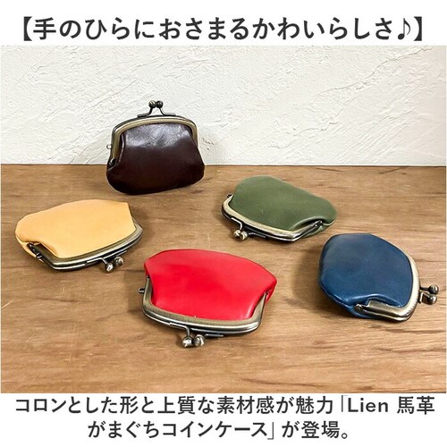 �R�C���P�[�X �{�v ���{�� �ʔ� ���K���� ���܂������z ���܌����z ���z �������� ���܌� ���܂��� �{�v���z �����Y ���f�B�[�X ������ �v ���U�[ �������� �|�[�` Lien ���A�� �n�v�R�C��_1