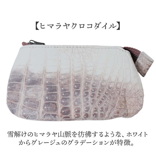 ZOO �Y�[ �}���`�P�[�X �v �ʔ� ���z ������ �T�C�t �����z �E�H���b�g �~�j���z �R�C���P�[�X ���K���� �{�v �~�j ������ ������ ������ �N���R�_�C�� ���j �M�t�g ���蕨 �����Y ���f�B_2