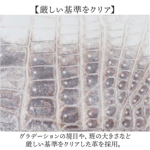 ZOO �Y�[ �}���`�P�[�X �v �ʔ� ���z ������ �T�C�t �����z �E�H���b�g �~�j���z �R�C���P�[�X ���K���� �{�v �~�j ������ ������ ������ �N���R�_�C�� ���j �M�t�g ���蕨 �����Y ���f�B_4