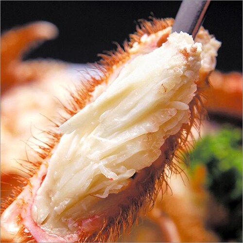 �J�j �k�C���Y �уK�j 650g�~1�� (�p/�{�C���Ⓚ) �т��� �M�t�g ���蕨 ���ƒ�p ���� �I �����񂹁y������s�z_1