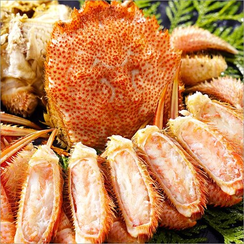 �J�j �k�C���Y �уK�j 650g�~1�� (�p/�{�C���Ⓚ) �т��� �M�t�g ���蕨 ���ƒ�p ���� �I �����񂹁y������s�z_3